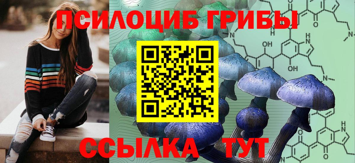 Бугуруслан  Галлюциногенные грибы мухоморы  Вход с VPN 